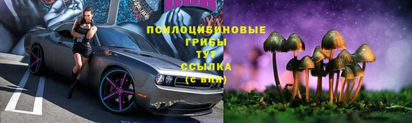 Альфа ПВП Богородицк