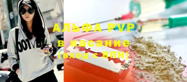 дживик Богородск