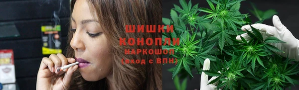 дживик Богородск