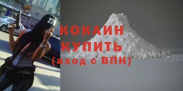 дживик Богородск