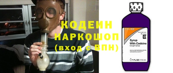 ГАЛЛЮЦИНОГЕННЫЕ ГРИБЫ Богданович