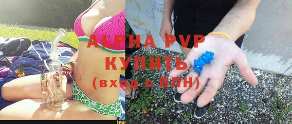 прущие грибы Саяногорск