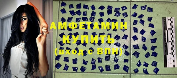 ГАЛЛЮЦИНОГЕННЫЕ ГРИБЫ Богданович