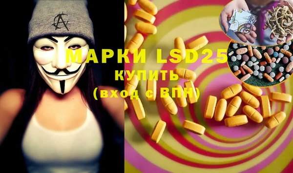 ГАЛЛЮЦИНОГЕННЫЕ ГРИБЫ Богданович