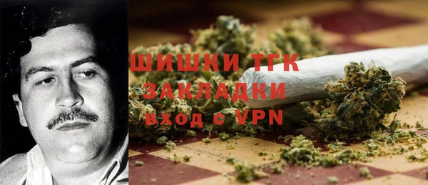 дживик Богородск