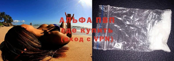 ГАЛЛЮЦИНОГЕННЫЕ ГРИБЫ Богданович