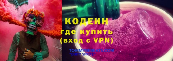 ГАЛЛЮЦИНОГЕННЫЕ ГРИБЫ Богданович