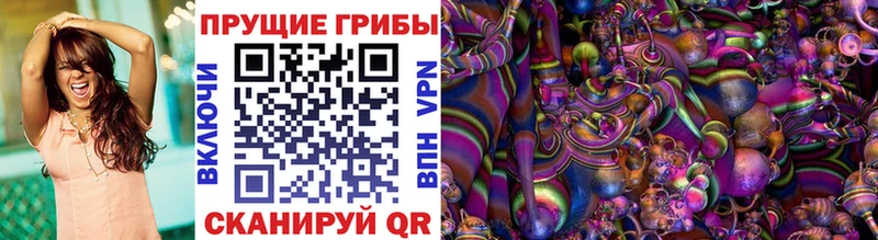 blacksprut сайт  Мелеуз  Псилоцибиновые грибы мицелий 